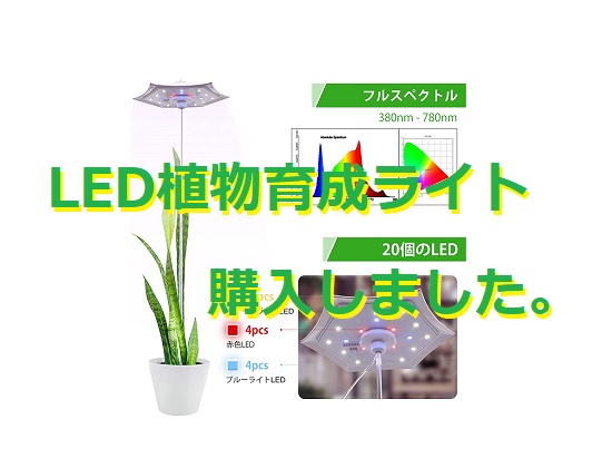 日の当たらない観葉植物のためにLED 植物育成ライトを購入しました。